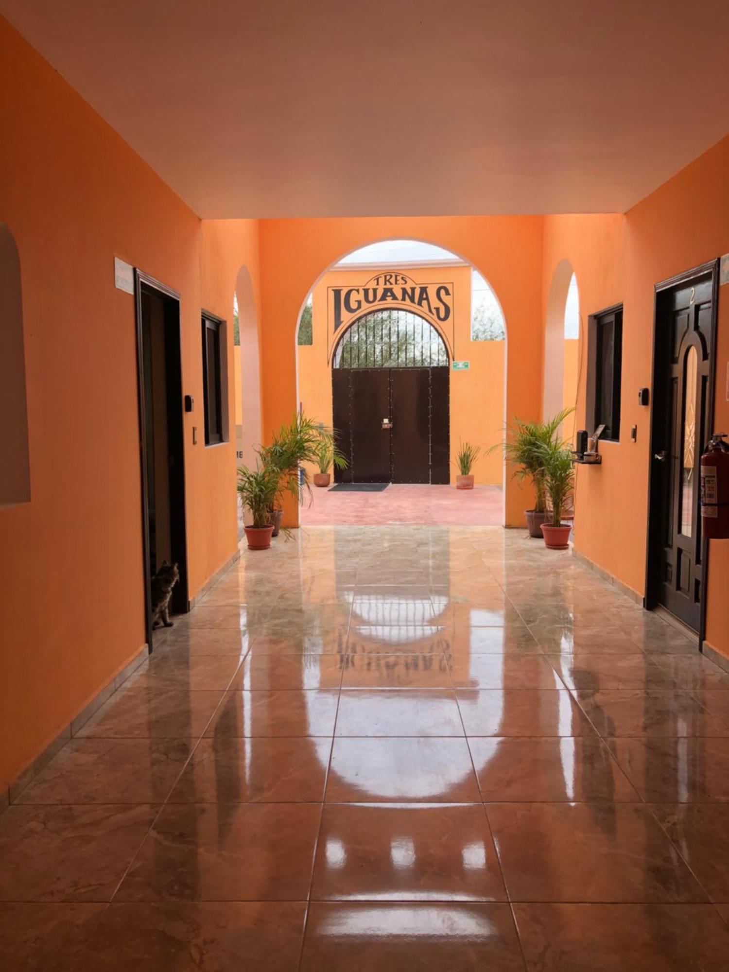 Tres Iguanas Apart Hotel - New, Cozy & Spacious Flats, Short Walk To Beach Loreto  Exterior photo